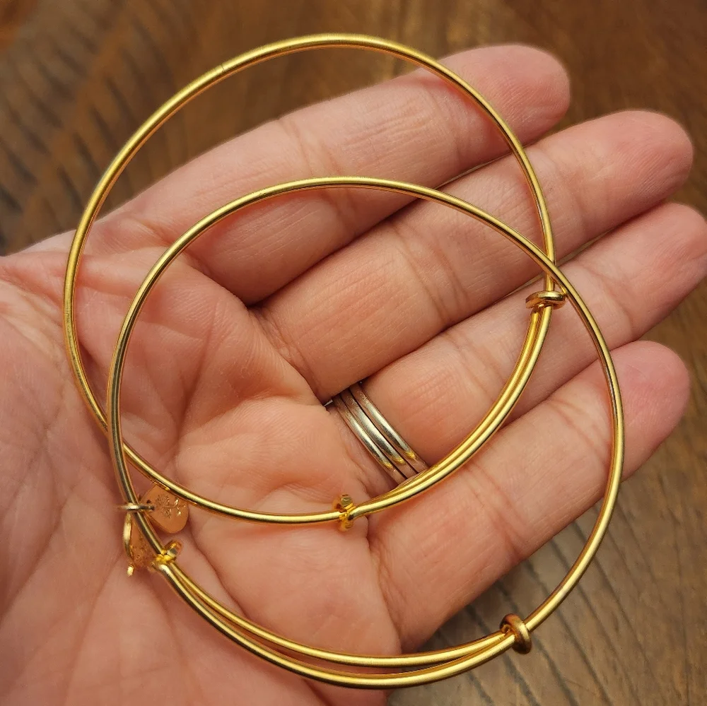 🎈2/$15 Alex and Ani bracelets- Plain Gold spacers - Picture 3 of 3